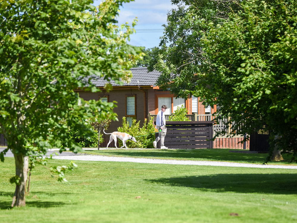 Lodges among mature trees at Malton Grange Country Park