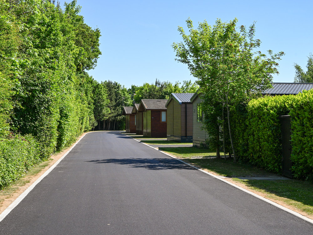 Tree-lined park road at Manor Country Park