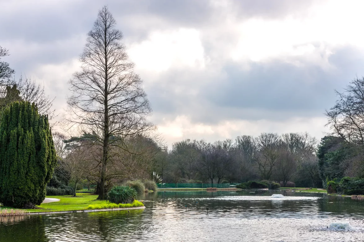 Burnby Hall gardens lake during winter