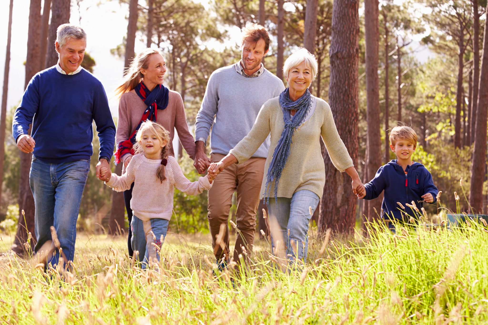 Family of several generations walking hand in hand in nature, laughing